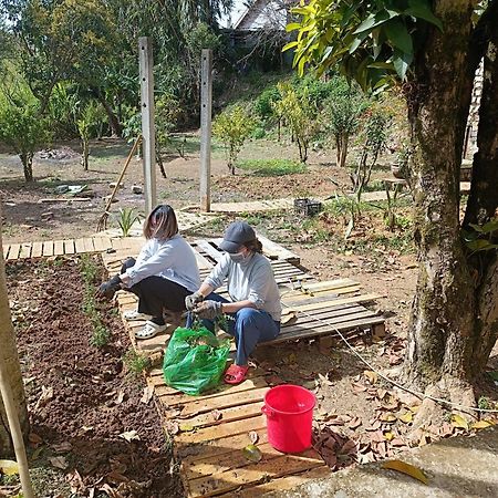 The Burrow Dalat Daire Dış mekan fotoğraf
