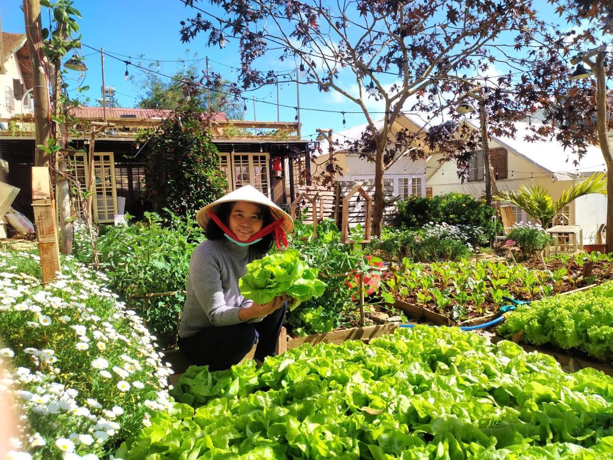 The Burrow Dalat Daire Dış mekan fotoğraf