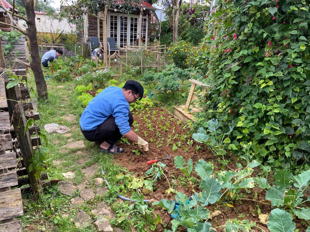 The Burrow Dalat Daire Dış mekan fotoğraf